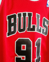 RODMAN DENNIS (Chicago Bulls)