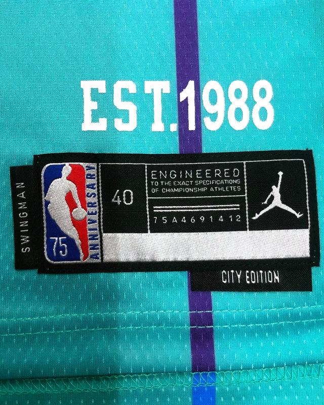 BALL LAMELO (Charlotte Hornets)