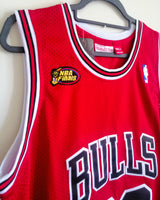 JORDAN MICHAEL (Chicago Bulls)