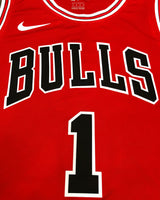 ROSE DERRICK (Chicago Bulls)
