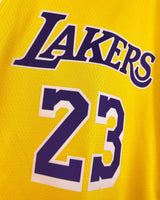 JAMES LEBRON (Los Angeles Lakers)