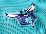 CHARLOTTE HORNETS Training Suit
