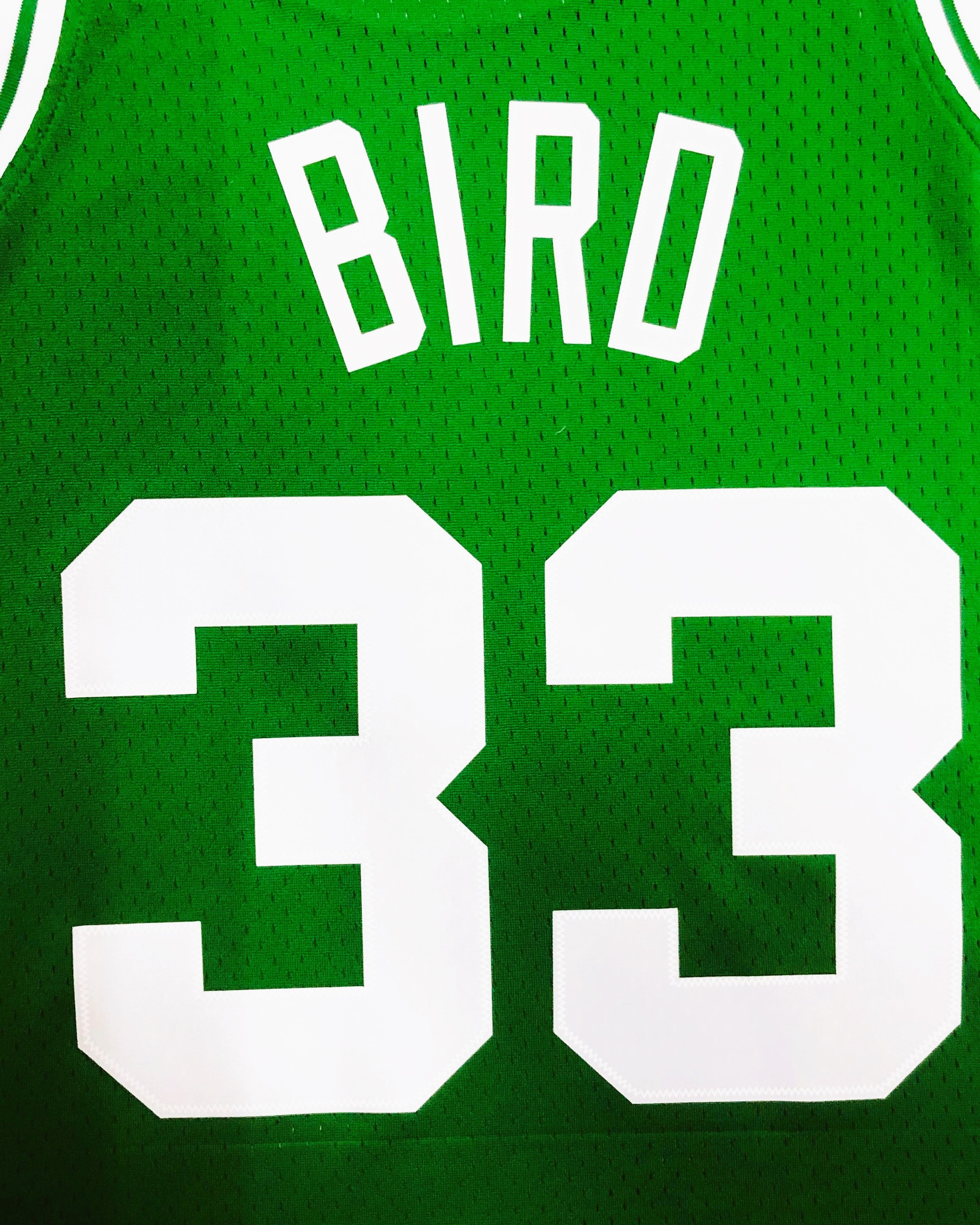 BIRD LARRY (Bos)