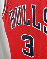 WADE DWYANE (Chicago Bulls)