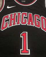 ROSE DERRICK (Chicago Bulls)