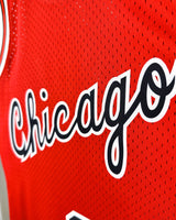 JORDAN MICHAEL (Chicago Bulls)
