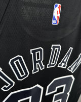 JORDAN MICHAEL (Chicago Bulls)