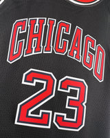 JORDAN MICHAEL (Chicago Bulls)