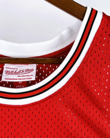 JORDAN MICHAEL (Chicago Bulls)