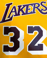 JOHNSON MAGIC (Los Angeles Lakers)