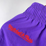 TORONTO RAPTORS short