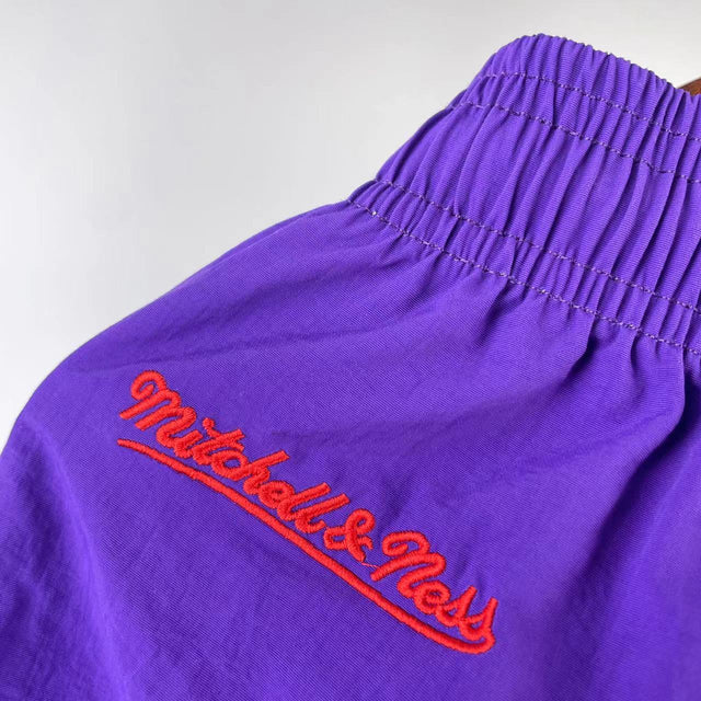 TORONTO RAPTORS short