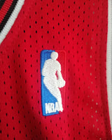 JORDAN MICHAEL (Chicago Bulls)