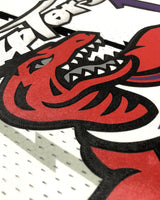 McGRADY TRACY (Toronto Raptors)