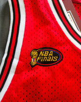 RODMAN DENNIS (Chicago Bulls)