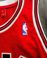 RODMAN DENNIS (Chicago Bulls)