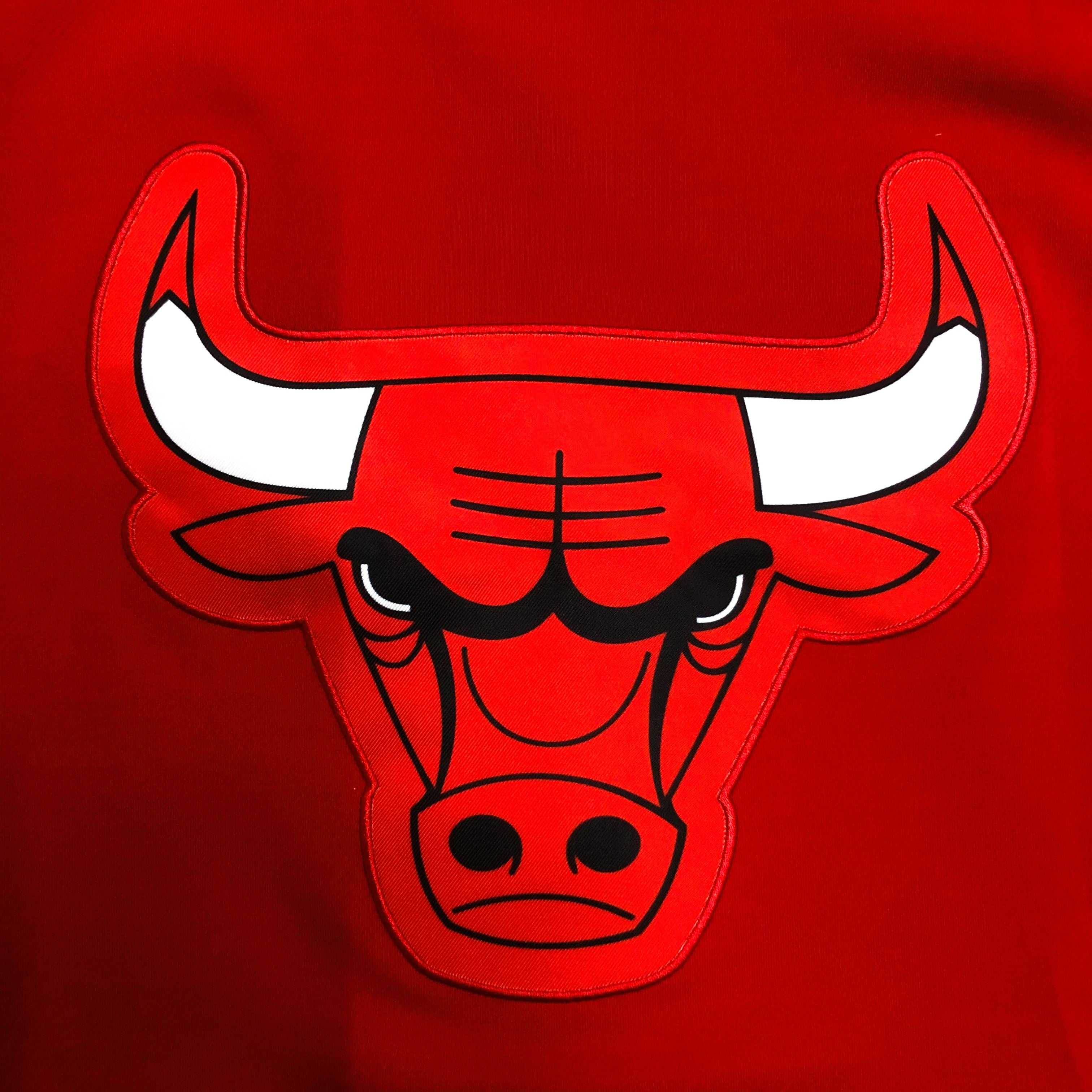 CHICAGO BULLS Jacket Hoodie