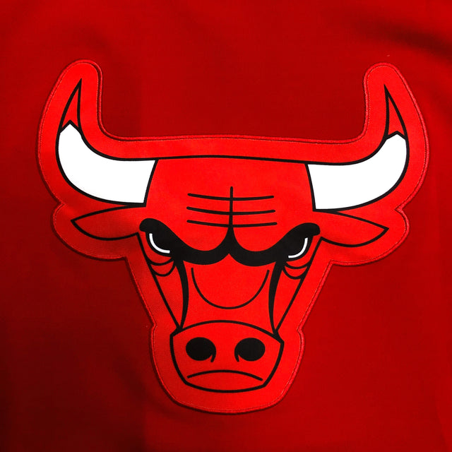 CHICAGO BULLS Jacket Hoodie