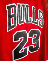 JORDAN MICHAEL (Chicago Bulls)