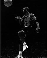 JORDAN MICHAEL (Chicago Bulls)