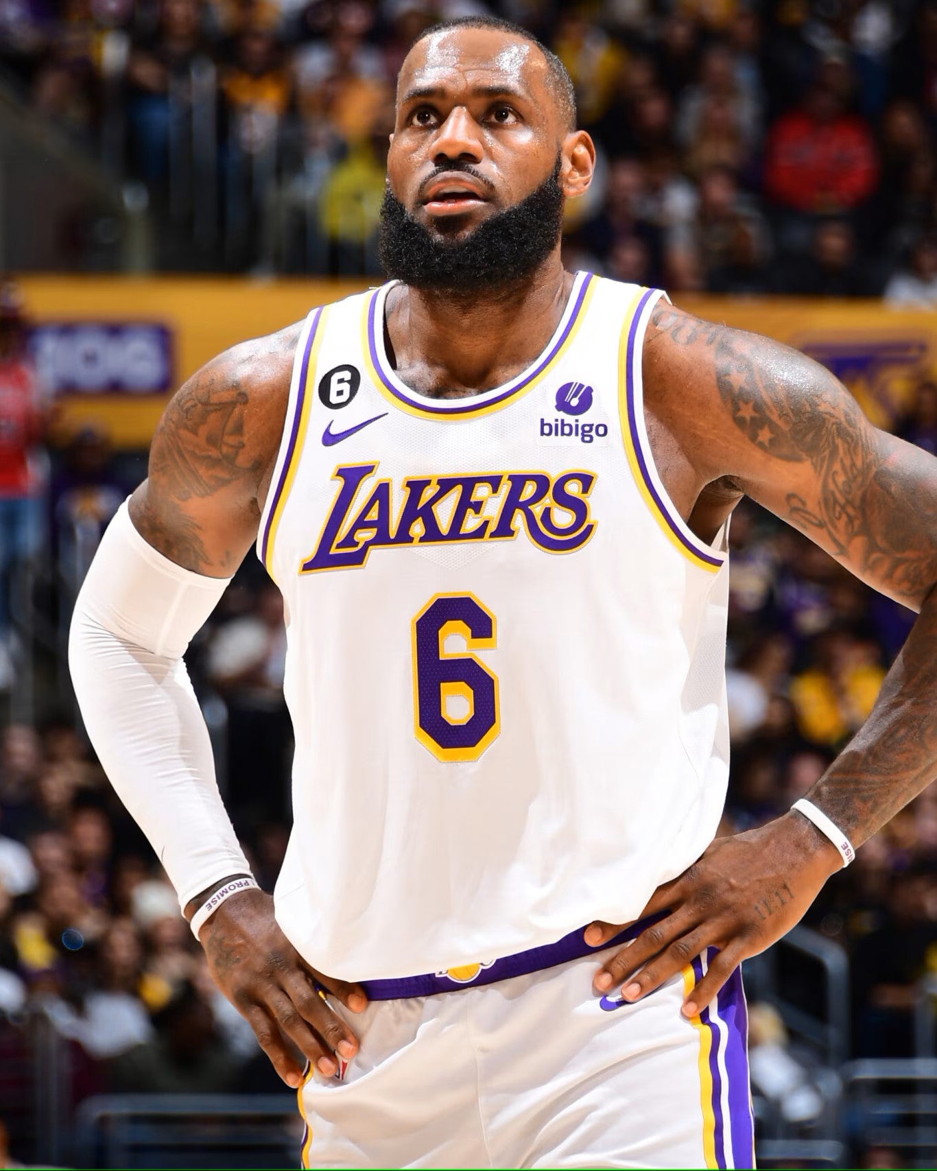 JAMES LEBRON (LaL)