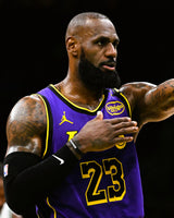 JAMES LEBRON (Los Angeles Lakers)