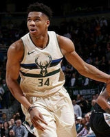ANTETOKOUNMPO GIANNIS (Milwaukee Bucks)